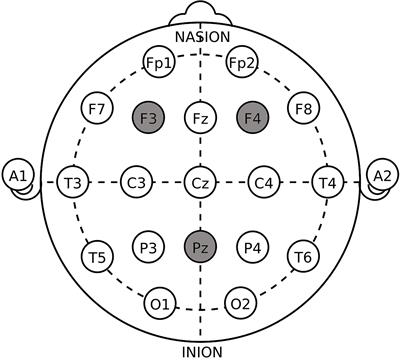 Modulating Activity in the Dorsolateral Prefrontal Cortex Changes Punishment in the 3-Player Prisoner’s Dilemma: A Transcranial Direct Current Stimulation Study